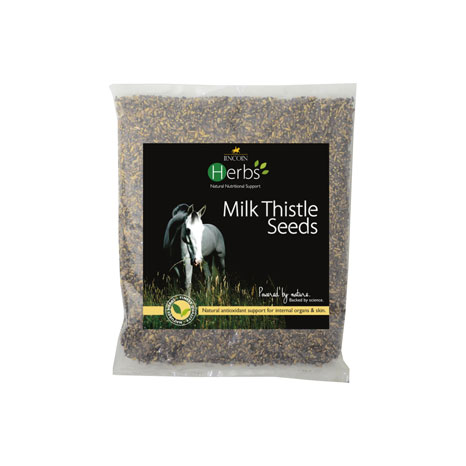 Lincoln Herbs Milk Thistle Seeds