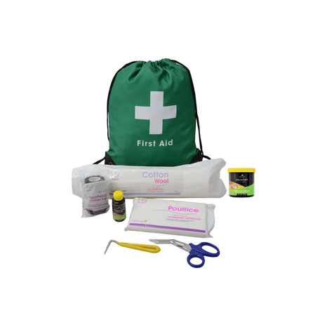 Lincoln First Aid Travel Bag