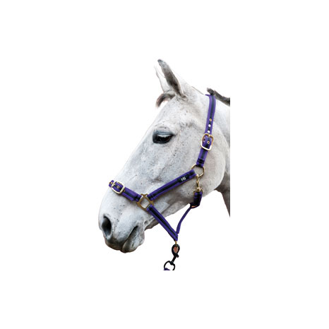 Hy Equestrian Soft Webbing Head Collar