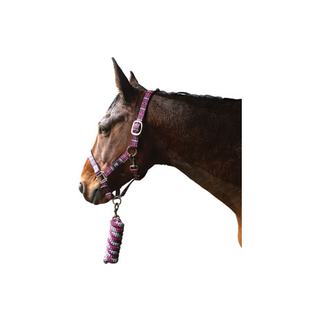 Hy Equestrian Tartan Head Collar with Lead Rope