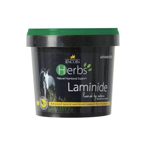 Lincoln Herbs Laminide