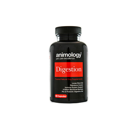 Animology Digestion Supplement