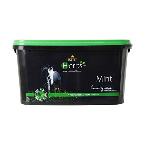 Lincoln Herbs Mint