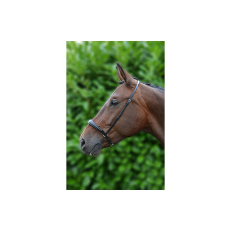 Hy Equestrian Padded Drop Nose Band