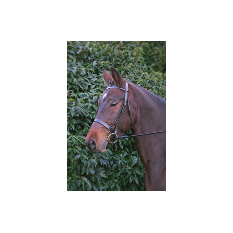 Hy Equestrian Hunter Bridle with Rubber Grip Reins