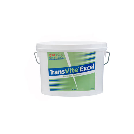 Transvite Excel