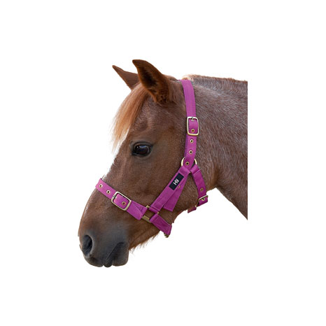 Hy Equestrian Holly Fully Adjustable Head Collar