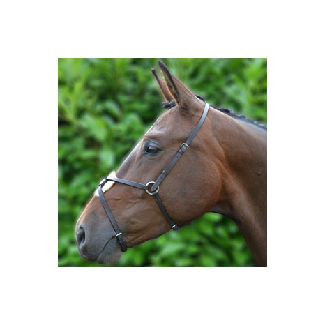 Hy Equestrian Mexican Grackle Nose Band