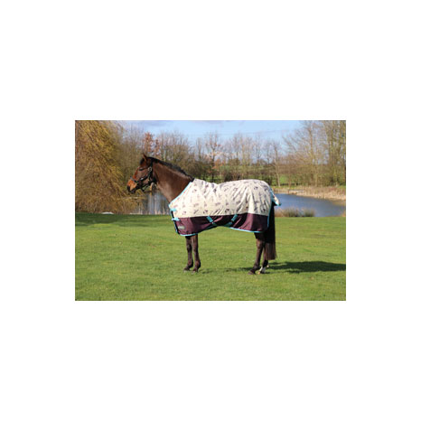 StormX Original 100 Thelwell Collection Country Turnout Rug