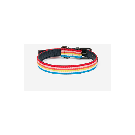 Joules Rainbow Stripe Dog Collar