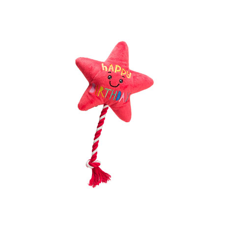 House of Paws Star Balloon with Rope Toy