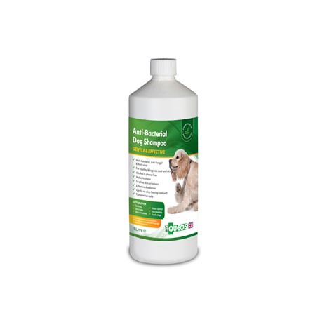 Aqueos Anti-Bacterial Dog Shampoo