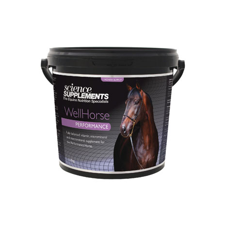 Science Supplements Wellhorse Performance