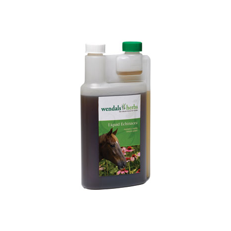 Wendals Liquid Echinacea