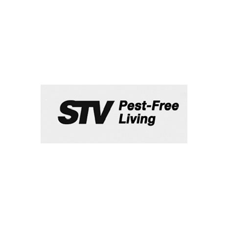 STV International